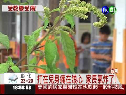 頑皮被海扁 小四童臀部變"麵龜"!