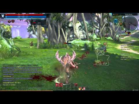 TERA PC