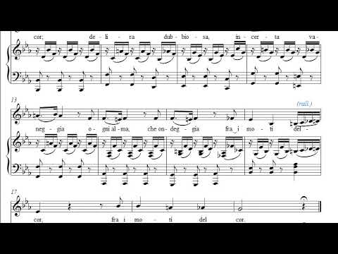 DELIRA DUBBIOSA - Barítono- VACCAJ