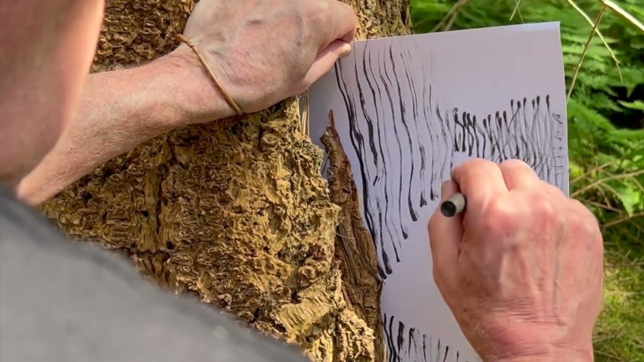 CAPA Welcomes Allan Graubard