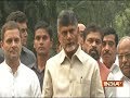 Chandrababu Naidu meets Rahul Gandhi, Congress-TDP agrees to form alliance to take on BJP