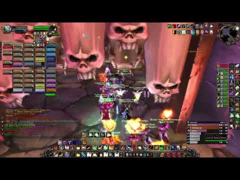 Classic Era WoW Phase Seven Naxxramas Speedrun (1:00:15) | Holy Paladin POV