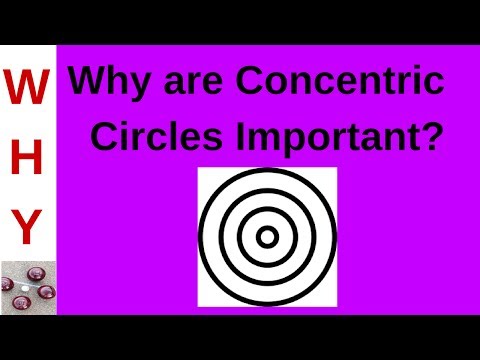 Relevance of Concentric Circles