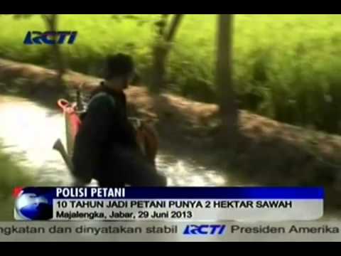 Patogen perempuan laki-laki Teh ramuan obat dari potensi