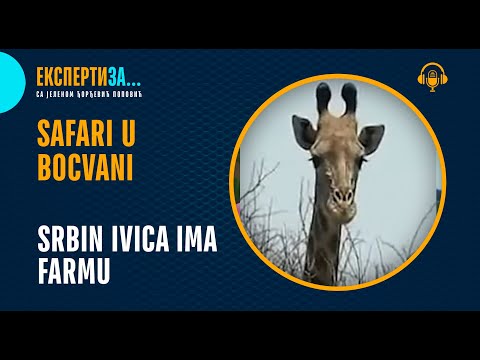 Žirafu Srbin ima