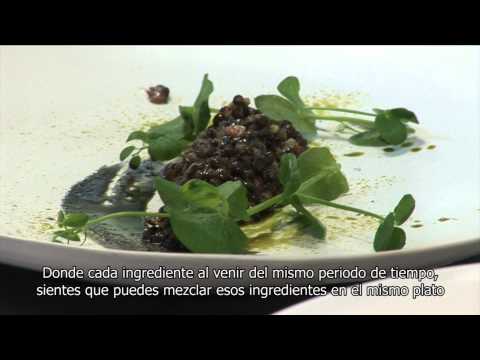 Eddy Warman en Polonia: Atelier Amaro