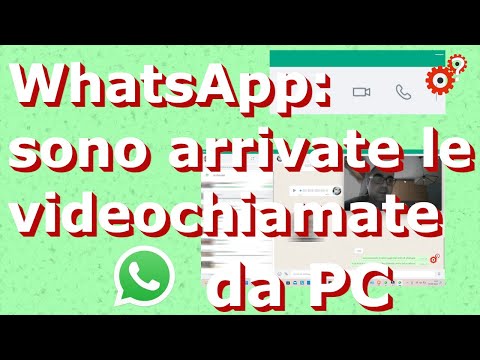 WhatsApp: videochiamate dal PC | Spiegato Semplice