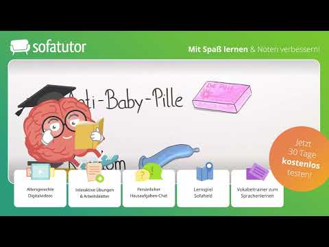 Das männliche Geschlechtsorgan Funktion & Aufbau – einfach erklärt