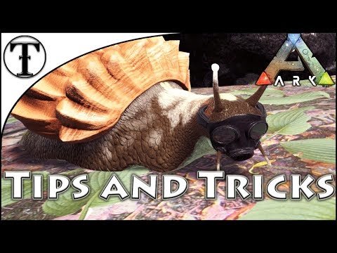 Fast Achatina (Snail) Taming Guide :: Ark : Survival Evolved Tips and Tricks