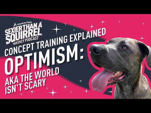 Concept Training Explained: Optimism