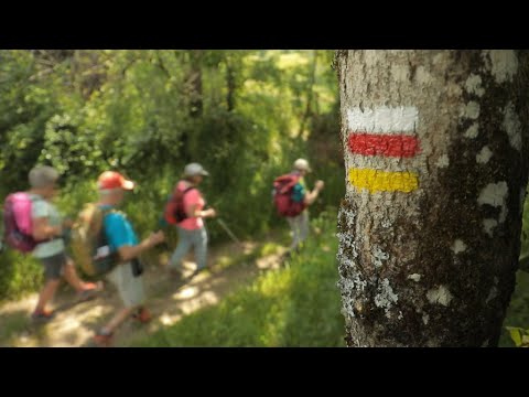 Compostelle, Stevenson, Pouldu : les plus beaux chemins de grande randonnée • FRANCE 24