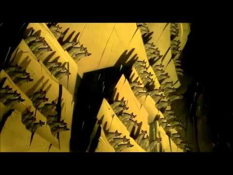 El Rey León - Preparaos [ES-España] [HD]