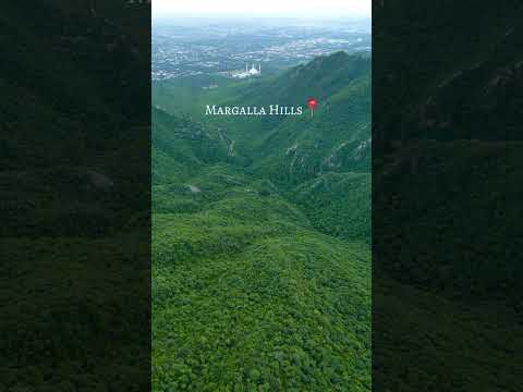 Exploring the Serene Beauty of Margalla Hills, Islamabad | A Tranquil Vlog