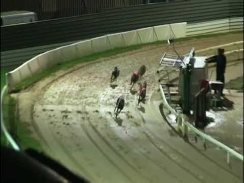 2017 WILLIAM HILL PETERBOROUGH DERBY - HEAT 5 - T3 KOOGA KLAMMER