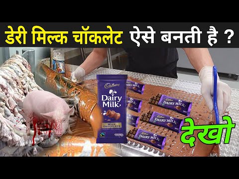 देखिए कैसे बनता है डेरी मिल्क चॉकलेट | Dairy Milk Chocolate Kaise Banti Hai