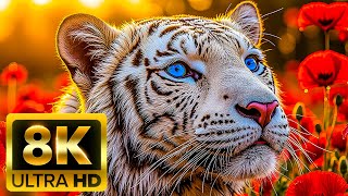 🐾 BABY ANIMALS 8K (60FPS) – Relaxing 8K Ultra HD Journey into the World of Young Wildlife
