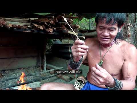 Borneo death blow - full documentary