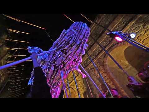 The dancing whale and the white moon - La balena danzante e la luna bianca