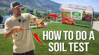 How To Do a Soil Test On Your Lawn - So EASY!!