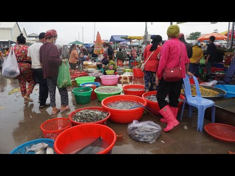 Amazing Site Distributes SeaFood & Fish @Prek Phnov Bridge - Morning Daily Fish Market Scene