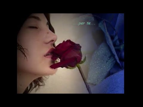 download lagu mp3 mp4 Carmelo Zappulla Quando Nasce Un Amore, download lagu Carmelo Zappulla Quando Nasce Un Amore gratis, unduh video klip Carmelo Zappulla Quando Nasce Un Amore