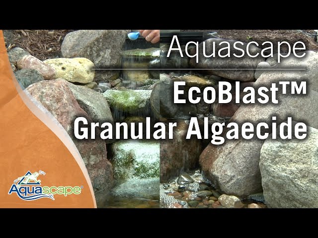 Eliminate Algae in Your Pond with Aquascape EcoBlast™ Granular Algaecide