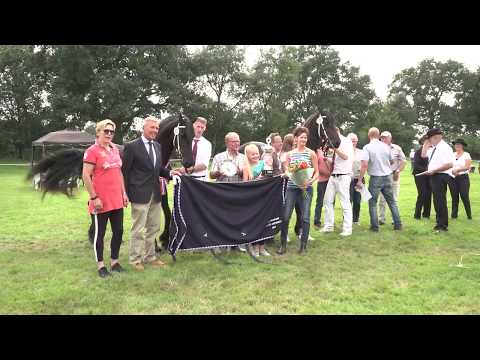 Fokdag Het Friese Paard Twente-Achterhoek 2017