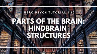 Parts of the Brain: Hindbrain Structures (Intro Psych Tutorial #32)