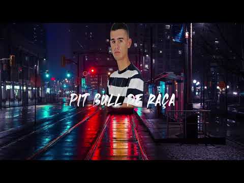 MEGA FUNK - SÓ PITBULL DE RAÇA PROD.(DJFALOSTESC)