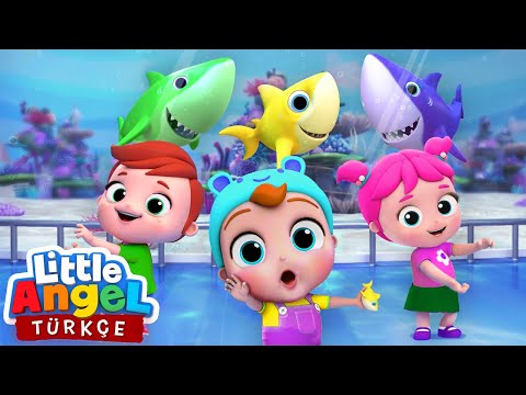 Baby Shark Şarkısı, Çocuk Oyun🐬🐠🦈 | Eğlenceli Ve Öğretici Bebek Şarkıları | Little Angel Türkçe