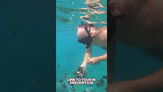 Snorkeling at Hon Tam Island in Nha Trang Bay #vietnam