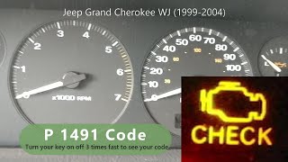 Reparación efectiva y code p1491 RAM