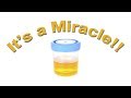 Quran Vs Tradition The Miraculous Muhammad