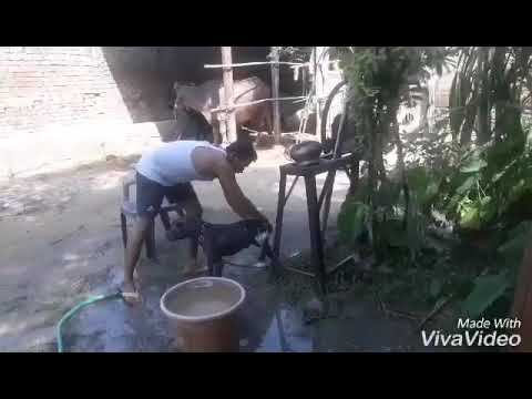 Pritpal gill with their dog