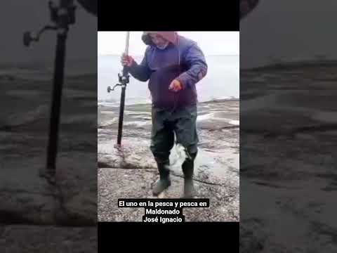 el uno en la pesca y pesca en Maldonado José Ignacio