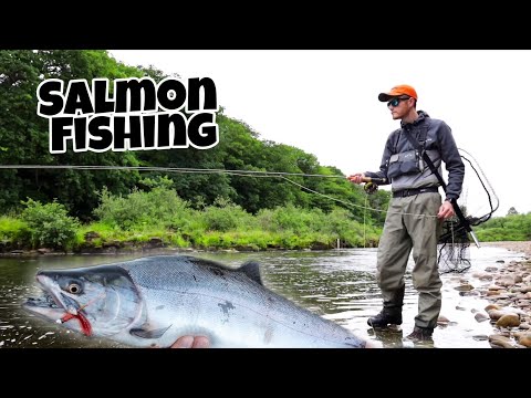 Salmon Fishing UK - Catching on the fly