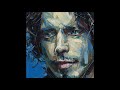 Chris Cornell - Sweet Euphoria - With lyrics
