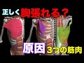 筋トレ効果を上げる胸を張るためのエクササイズ4選