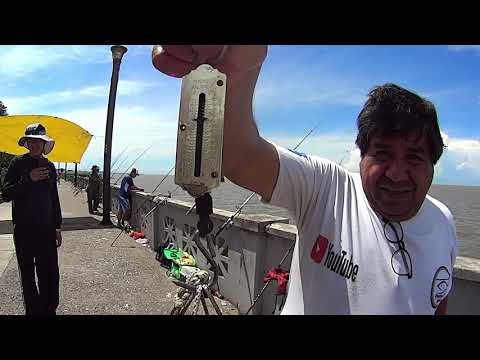 PESCA IMPRESSIONANTE DE CHAFALOTE, LENGUADO E SURUBI NO LITORAL NORTE IMPERDÍVEL