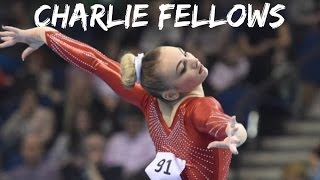 Charlie Fellows - Shooting Arrows at the Sky