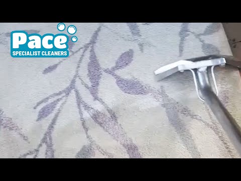 Pace Specialist Cleaners - Carpet Cleaning video.