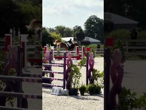 Gold Link video 2