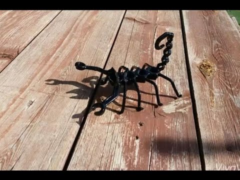 Home made scorpion by Shlomi Levi