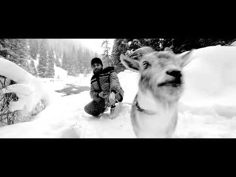 [FREE] Key Glock Type Beat 2023 x Duke Deuce Type Beat 2023 - Felt Love