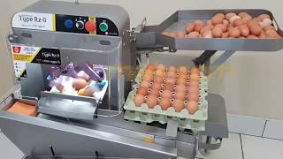 Yumurta Kırma Ayırma Makinesi RZ-0 - Egg Break A