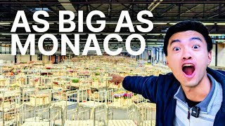 The World's Flower Trade Flows Through a Single Building