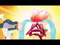 Zig Sharko Not The Onions Season 4 BEST CARTOON COLLECTION New Episodes In HD
