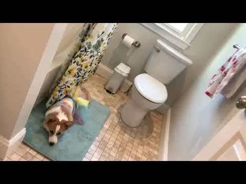 79 Winchester Ave - Video 2 of 2