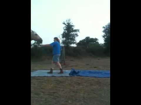 Sandman and the tarp gauntlet