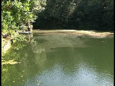 Grausiger Fund im Steinbruch bei Löbau